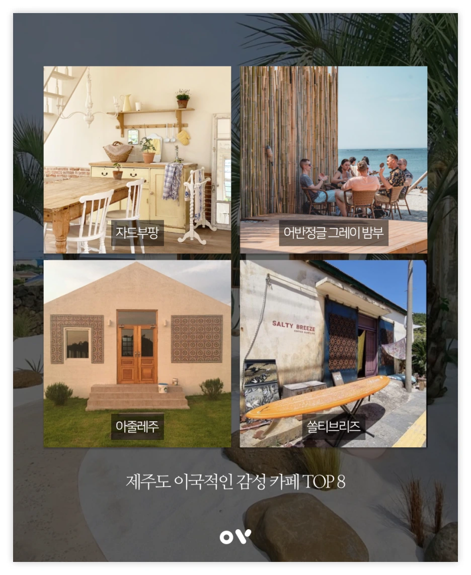 OV%EB%B0%B1%EA%B3%BC_04.png?type=w1