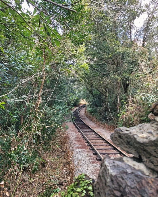 SE-43c6e127-7ecb-4480-9082-6f1413f8bfd6.jpg?type=w1