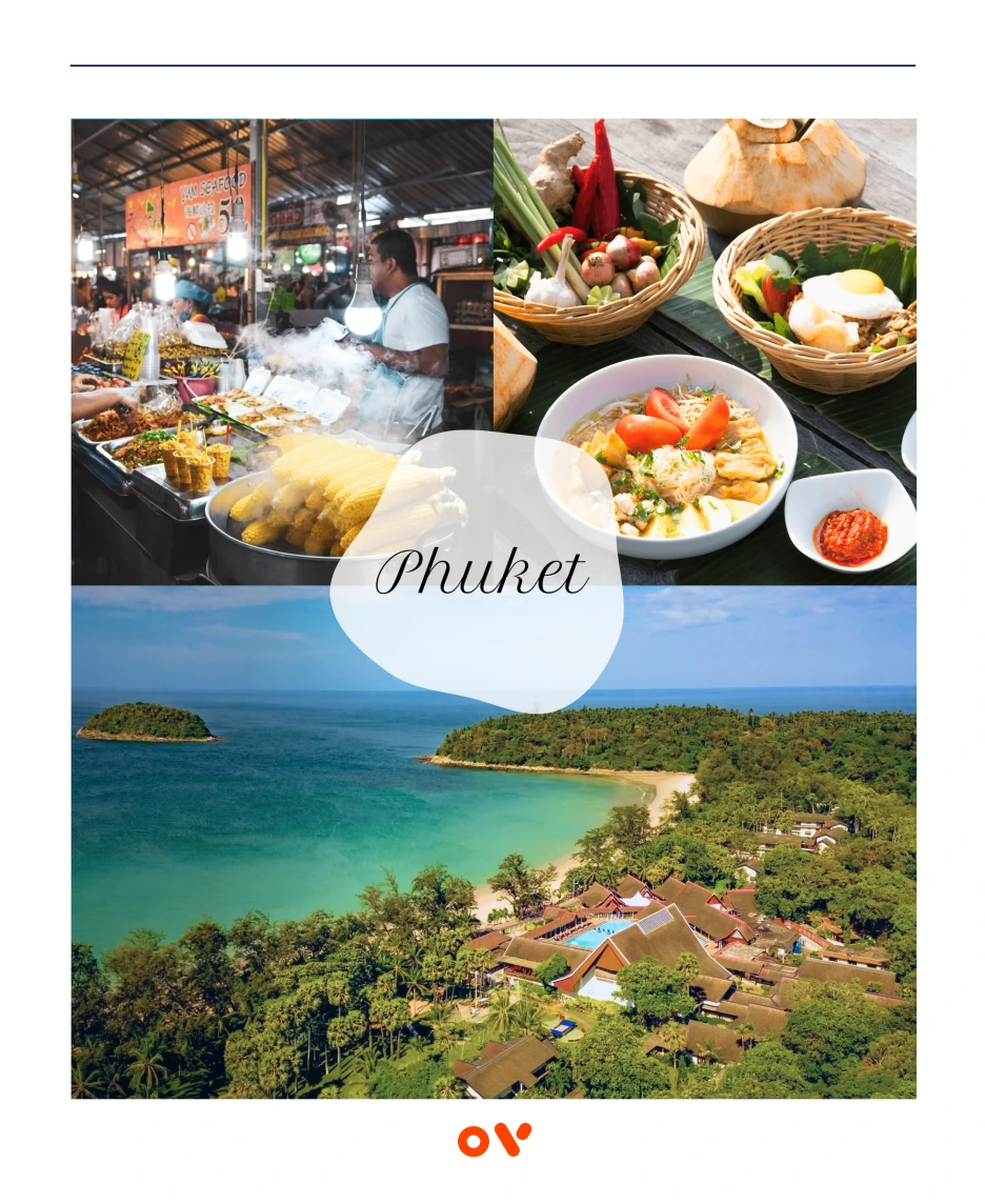 OV_%EC%BD%94%EC%8A%A4_2.png?type=w1