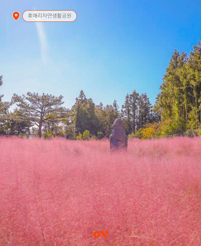 SE-ab7939e0-6cf5-4c6d-b71e-3fc7441e88de.png?type=w1