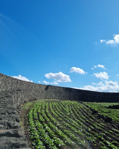 SE-08915c9b-b646-4f38-9848-8a47bda7c3f3.jpg?type=w1