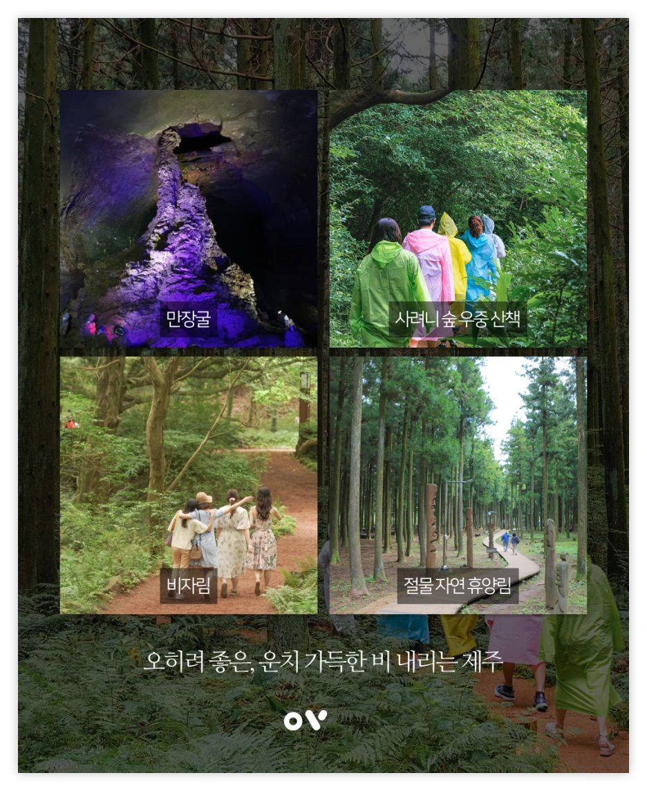 OV%EB%B0%B1%EA%B3%BC_03.png?type=w1