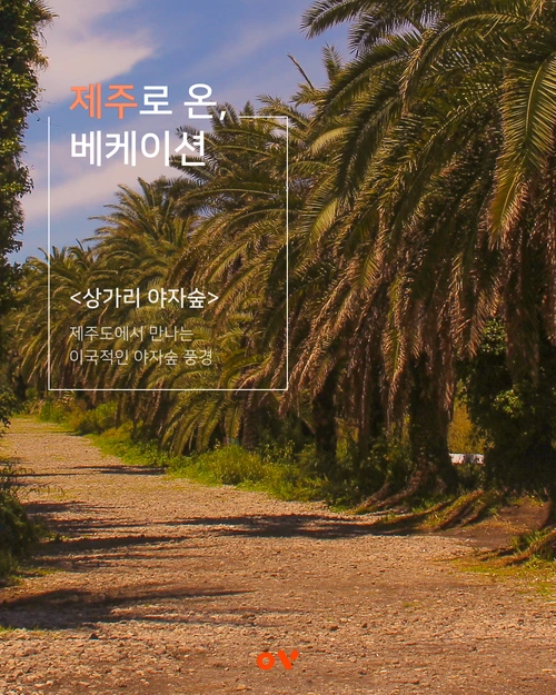 SE-5d2752f0-a4c6-46dd-b830-e5cdeb1c6f19.png?type=w1