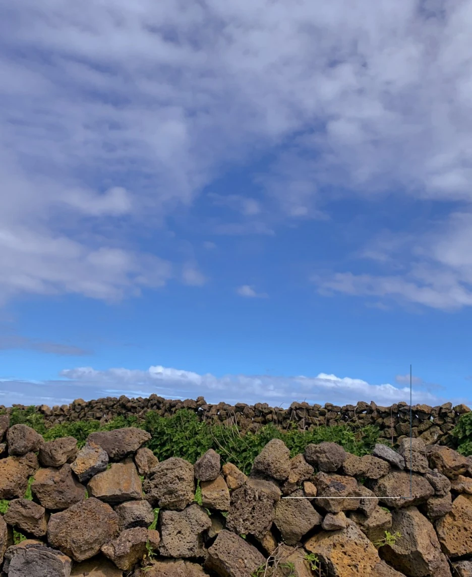 OV%EC%82%AC%EC%A7%84%EC%97%AC%ED%96%89_%EC%9A%B0%EB%8F%84+210727.006.jpeg?type=w1