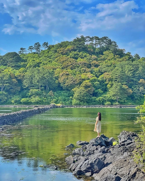 SE-7f92b771-33a8-4135-bd9f-79ea6fb987be.jpg?type=w1