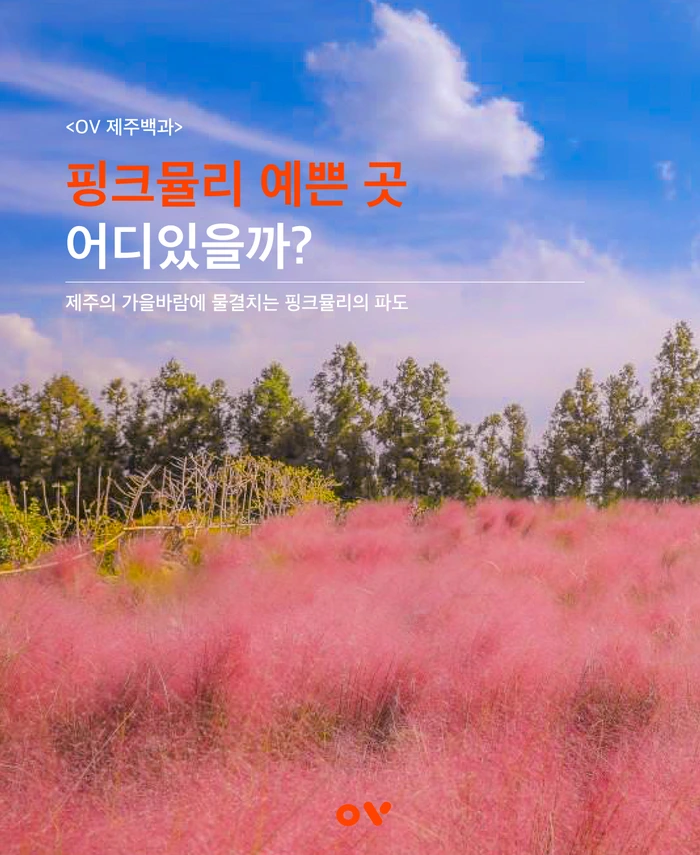 SE-2bb2ca1b-2501-4f99-b6a1-4857661a54fd.png?type=w1