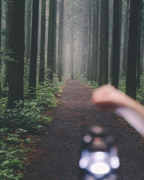 SE-d88ab3a2-5a48-4f3e-9397-d49e77694ac0.jpg?type=w1