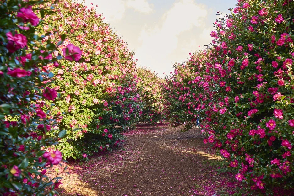 KakaoTalk_Photo_2021-12-18-21-17-40_007.jpeg?type=w1