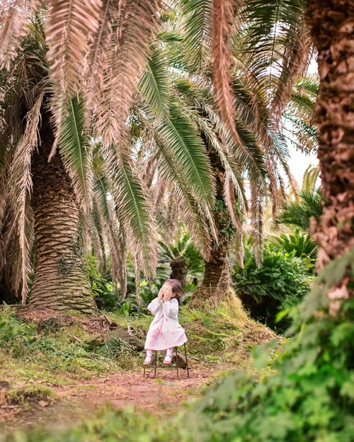 SE-82faf5e1-e831-49da-8b36-88c205e2e753.jpg?type=w1