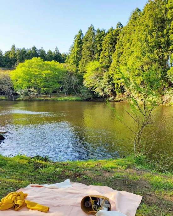 SE-b87331d7-7518-4ab5-9db0-de2877d7cd2f.jpg?type=w1