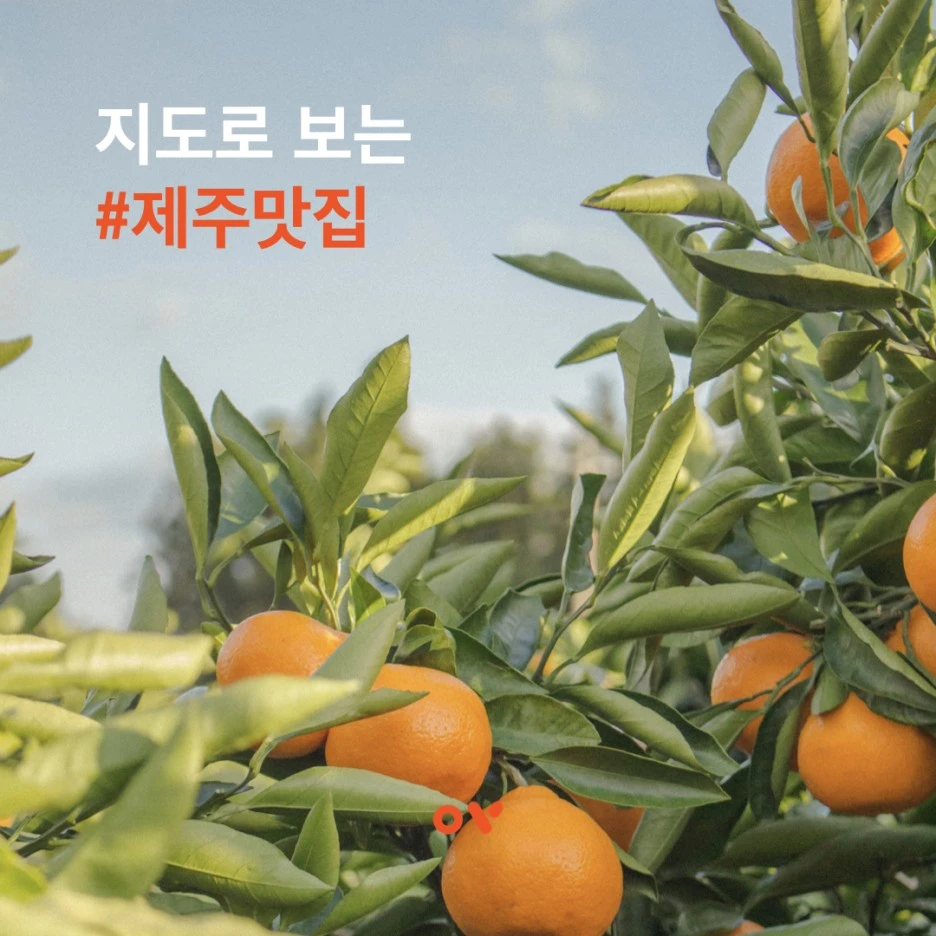 8th_insta_set_%EC%9A%95%EB%A7%9D%EB%A7%9B%EC%A7%91%EC%A0%9C%EC%A3%BC.001.jpeg?type=w1