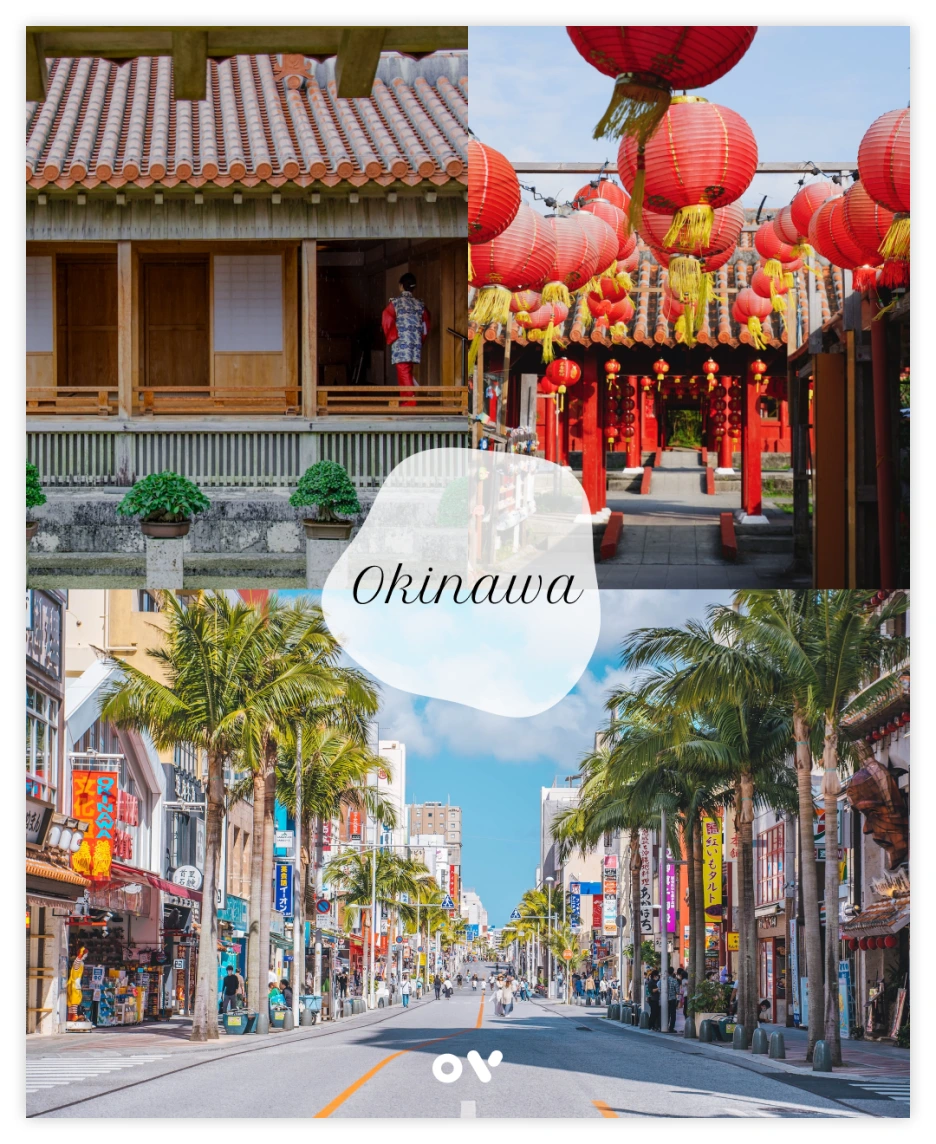 OV_%EC%BD%94%EC%8A%A4_2.png?type=w1