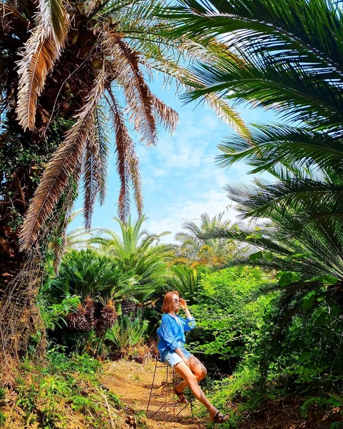 SE-cb28b3be-71cd-4630-9cb8-8557d2d5900d.jpg?type=w1