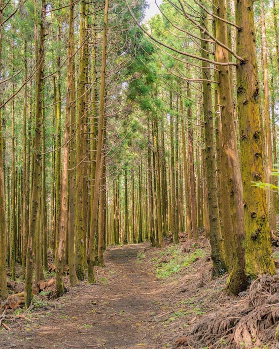 SE-600b20aa-ece2-4baa-93c5-7e122a35286c.jpg?type=w1