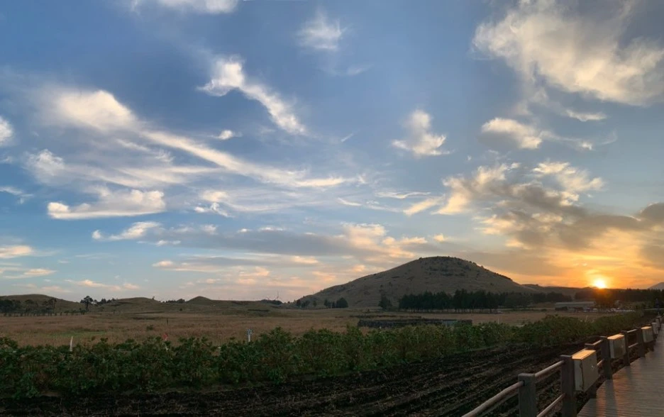 1573542055908-9.jpg?type=w1