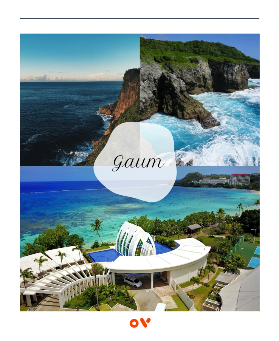 OV_%EC%BD%94%EC%8A%A4_2.png?type=w1