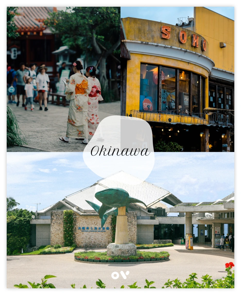 OV_%EC%BD%94%EC%8A%A4_2.png?type=w1