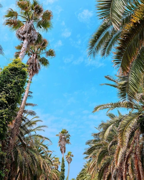 SE-fc19eb8a-6594-45bb-8ec3-8072f49e7250.jpg?type=w1