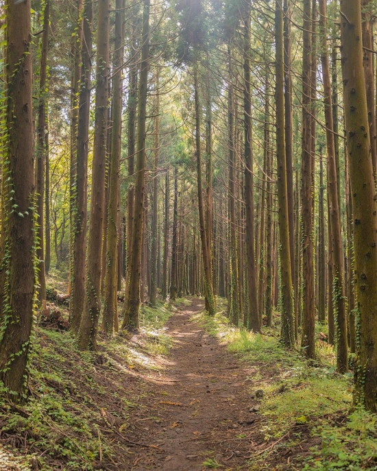 SE-110ac6ae-1a60-4163-a115-567285b56136.jpg?type=w1