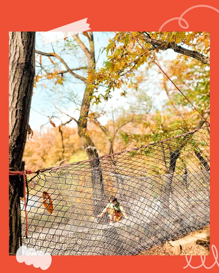 SE-c18858b7-a180-444c-b305-069d042418eb.png?type=w1