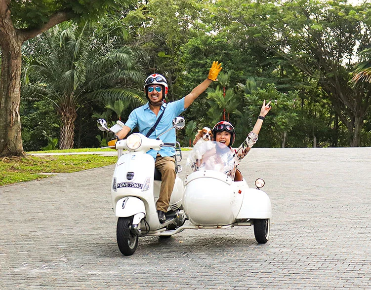 singapore-curates-qi-and-the-city-02.jpg?type=w1