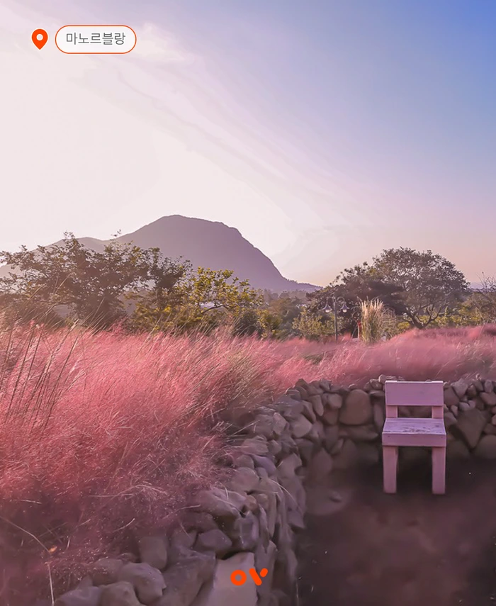 SE-19c4e5eb-4172-469b-bf0d-f9d0b37c0215.png?type=w1