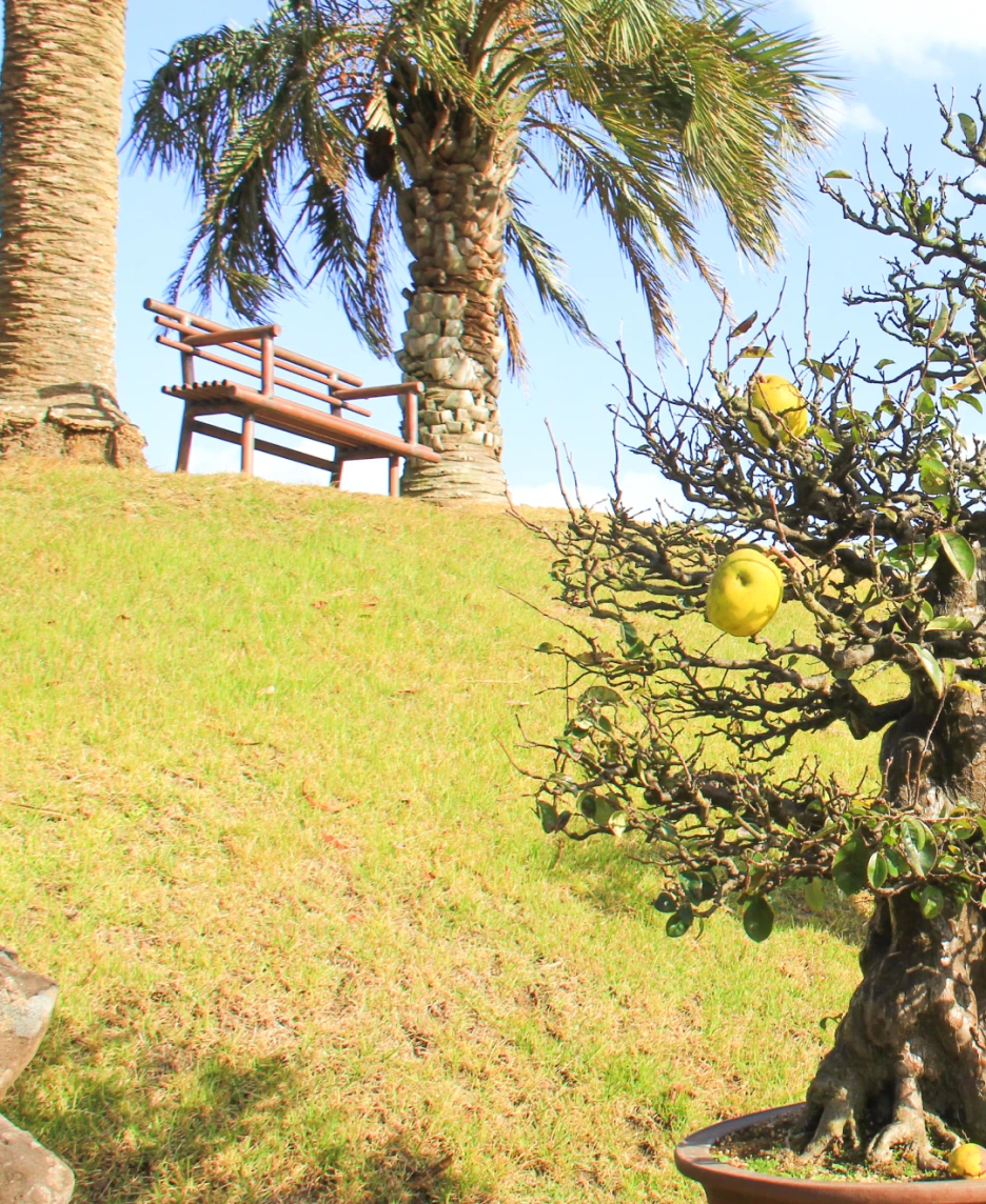 %EC%83%9D%EA%B0%81%ED%95%98%EB%8A%94%EC%A0%95%EC%9B%9006.png?type=w1