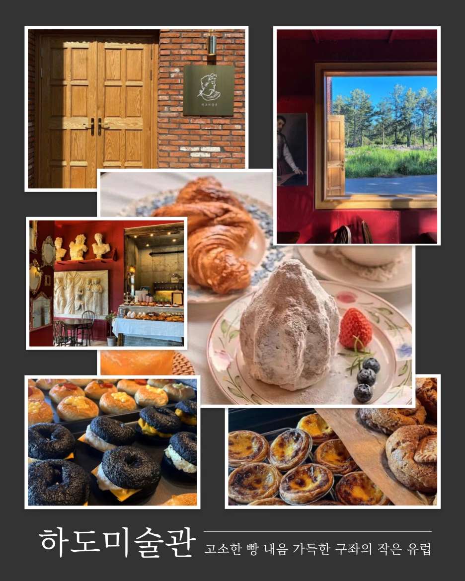 3_%ED%95%98%EB%8F%84%EB%AF%B8%EC%88%A0%EA%B4%80.png?type=w1