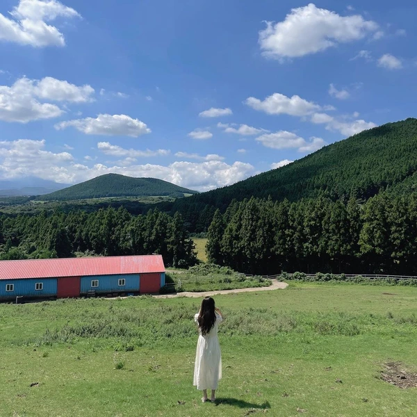 SE-4f86238f-17bd-4520-94b8-67f46423c2d8.jpg?type=w1