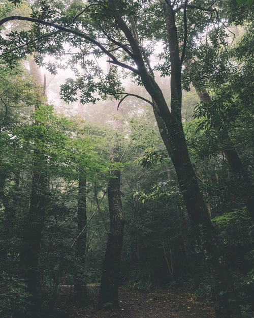 SE-c6d97d89-4cd2-4634-9528-2b08e09aff65.jpg?type=w1