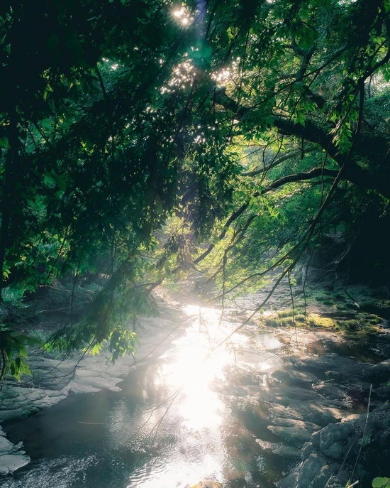 SE-31a9196c-dcb9-43e6-aa35-d3f28e1c45cb.jpg?type=w1