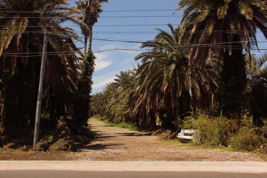 SE-cbcc8666-b3be-464f-ab99-8432e83709eb.jpg?type=w1