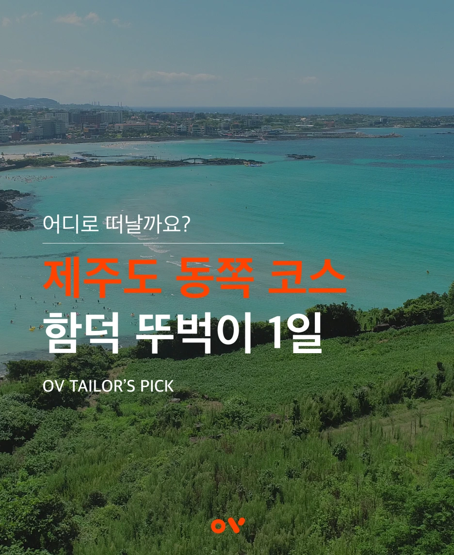 OV_%EC%BD%94%EC%8A%A4_%ED%91%9C%EC%A7%80.png?type=w1