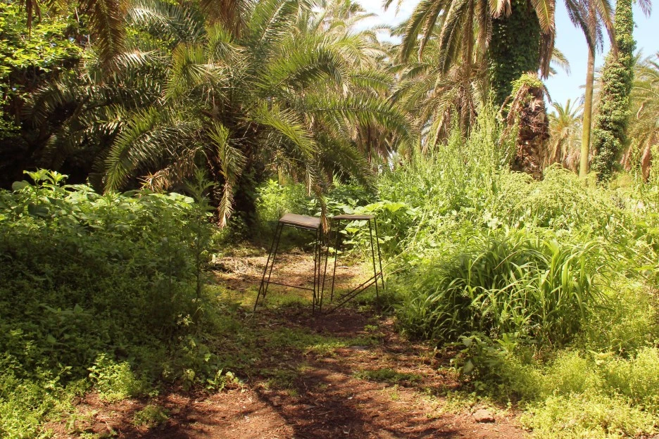 SE-adef3f65-edf5-47f1-95f6-9d75b178b1e8.jpg?type=w1