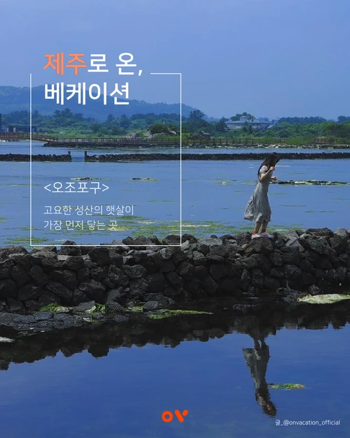 SE-75472599-cc18-4fdf-9af7-0d7fc5178fce.png?type=w1