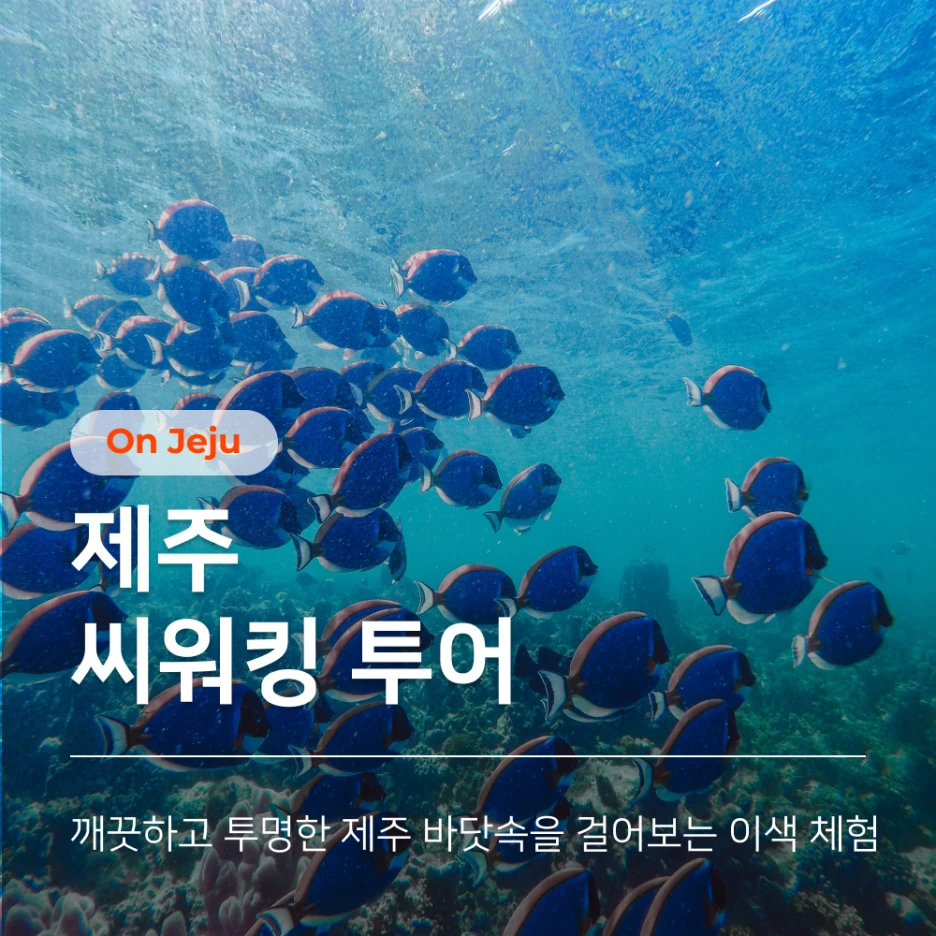 %EC%A0%9C%EC%A3%BC_%EC%94%A8%EC%9B%8C%ED%82%B9_%ED%88%AC%EC%96%B4_%EC%8D%B8%EB%84%A4%EC%9D%BC.png?type=w1