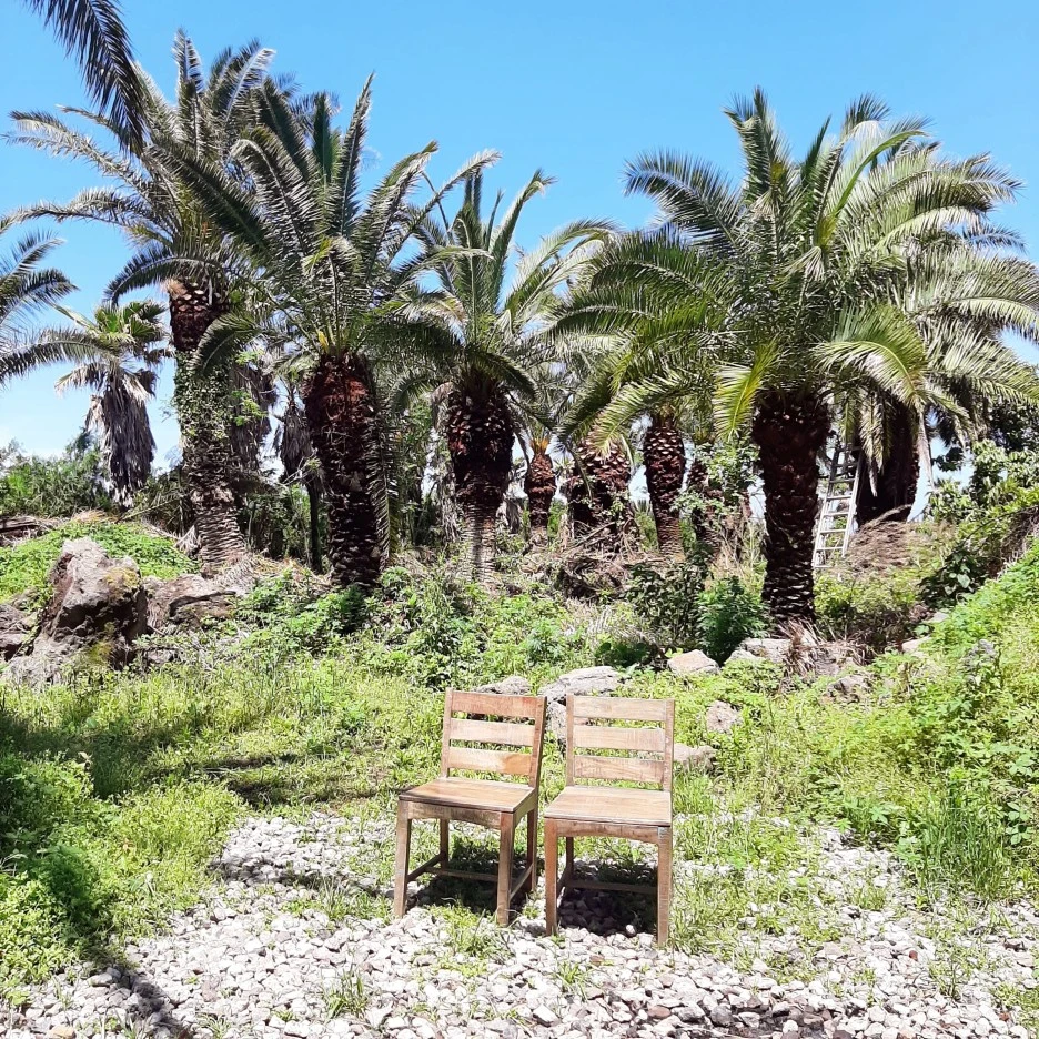 SE-6e826e7c-87fe-4c35-bd6b-1ccd5e13577d.jpg?type=w1