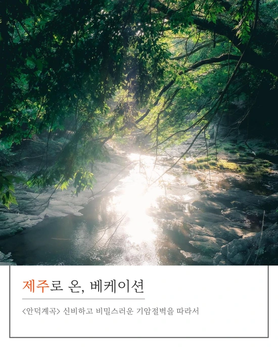 SE-d51e2a0d-6512-48ee-8a93-f322cff1f633.png?type=w1