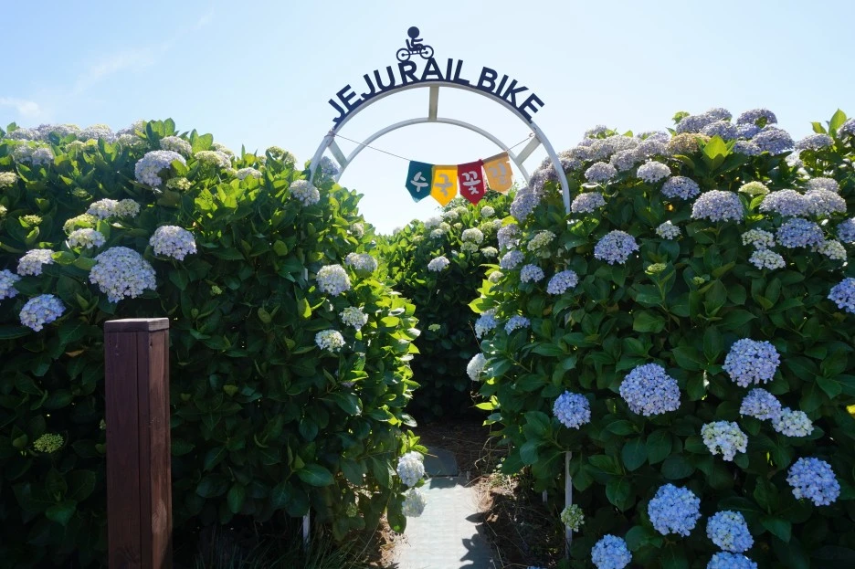 DSC02333.JPG?type=w1