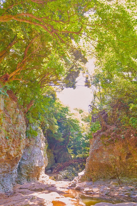 SE-5b2224be-c424-4570-8388-4305d2535a1e.jpg?type=w1