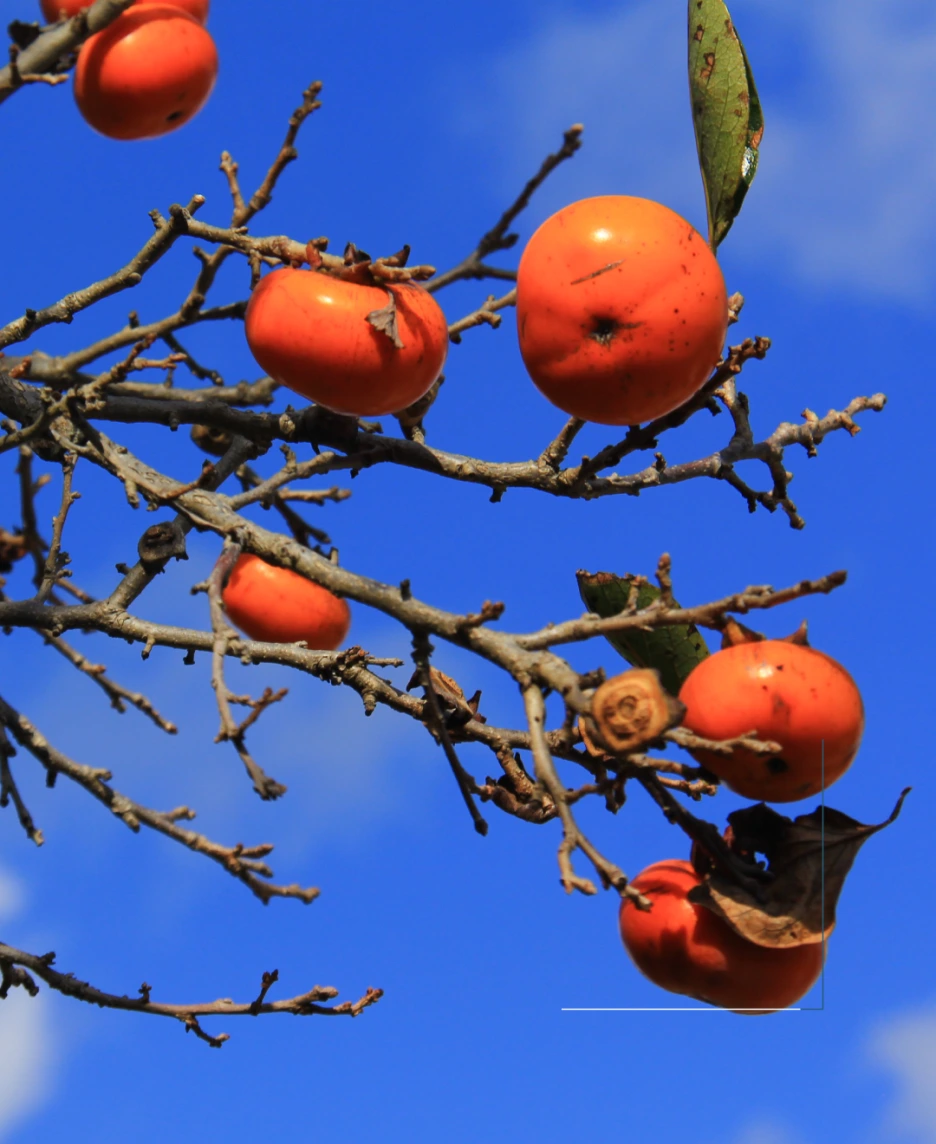 %EC%83%9D%EA%B0%81%ED%95%98%EB%8A%94%EC%A0%95%EC%9B%9004.png?type=w1