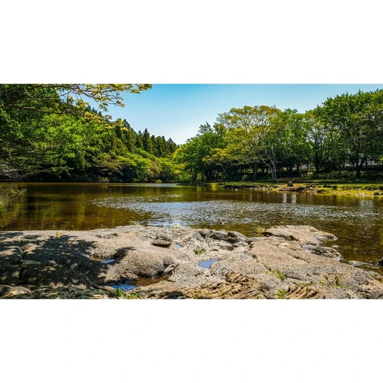 SE-ef6d4749-90ca-49a1-b3f5-5d9f3d29f520.jpg?type=w1