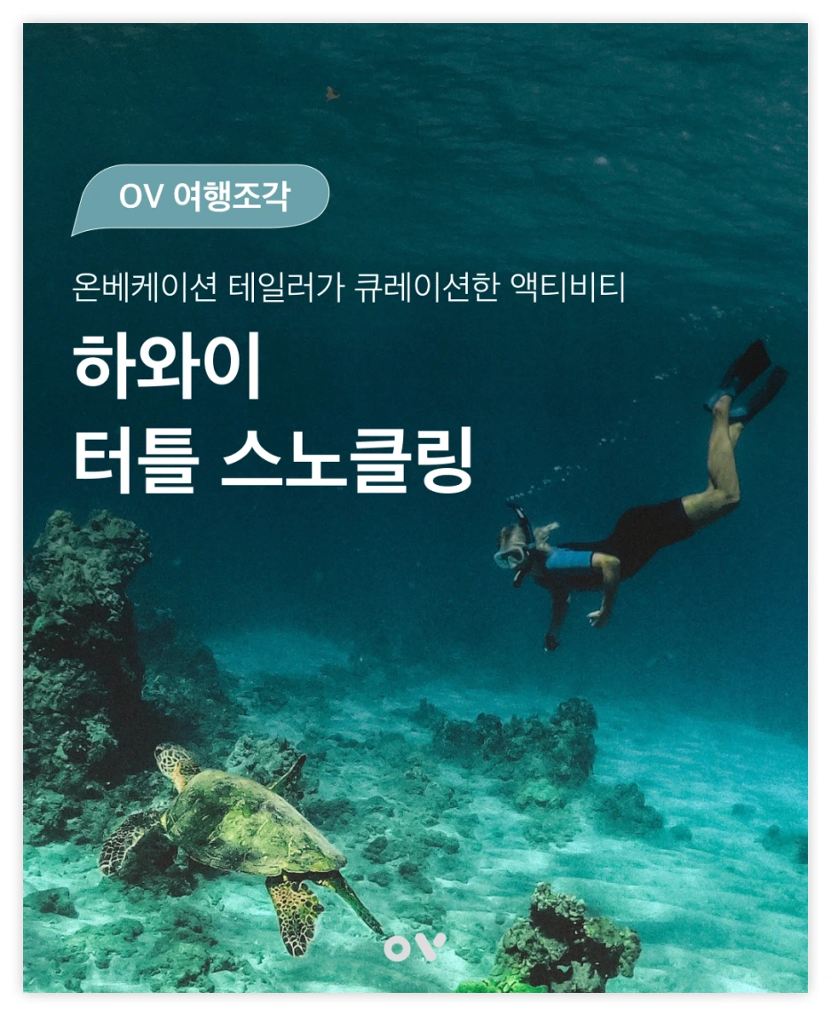 OV_%EC%97%AC%ED%96%89%EC%A1%B0%EA%B0%81_%EC%8D%B8%EB%84%A4%EC%9D%BC.png?type=w1