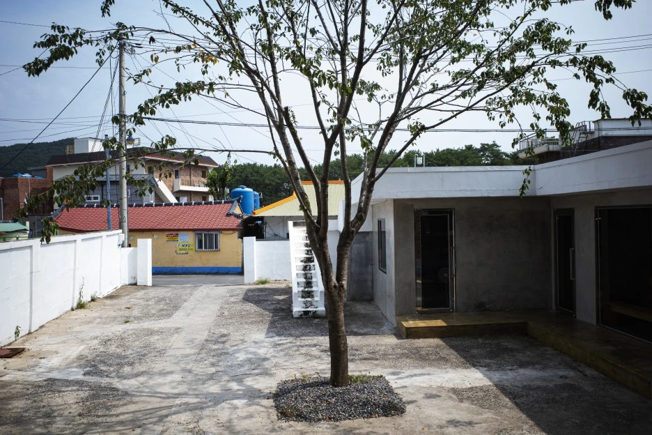 R0007826.jpg?type=w1