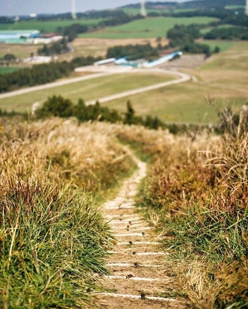 SE-5399f2b4-79d6-410c-8a46-b25f01c782e6.jpg?type=w1