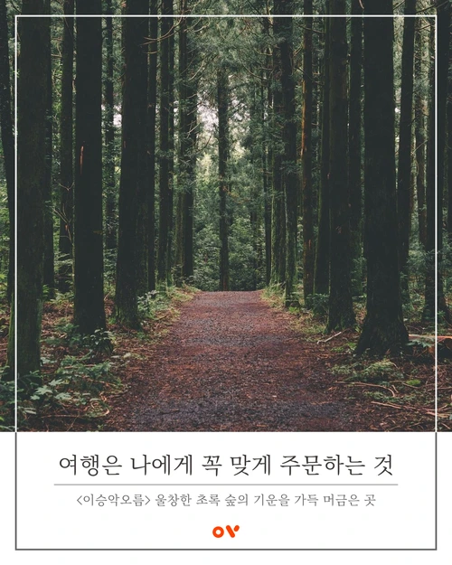 SE-ade84228-2a5f-4a9e-9788-9ec343ef0d2a.png?type=w1