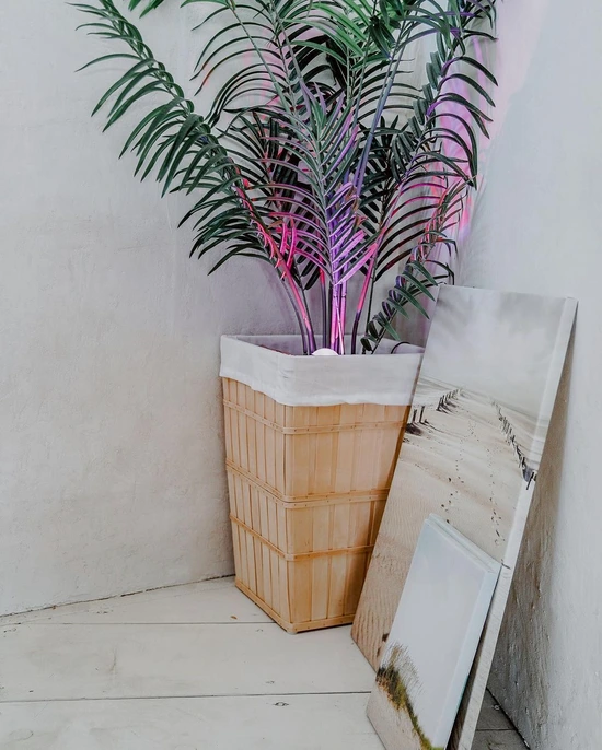 SE-f5764ab8-c6fe-4855-915f-133e6ea84e24.jpg?type=w1