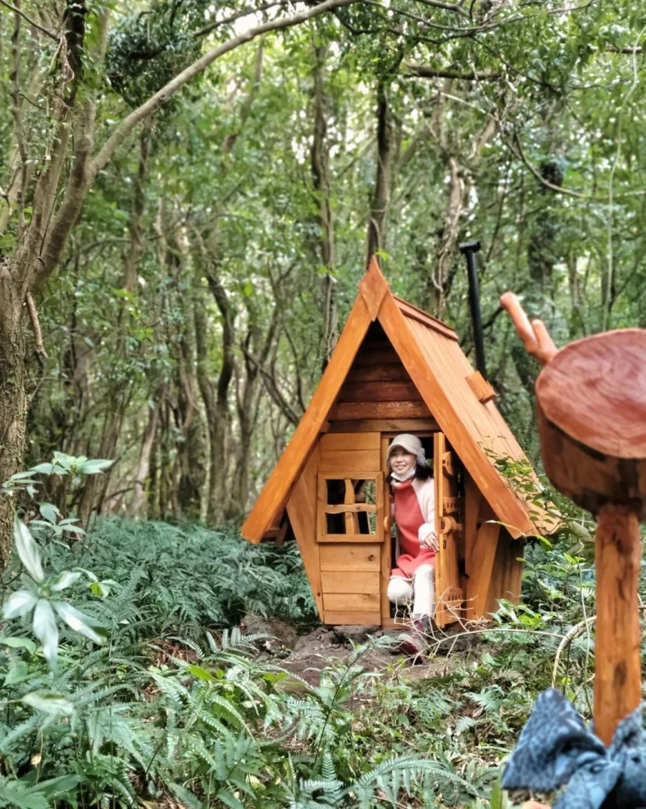 jeju.jy_273849368_642392513703125_4091217775473749615_n.webp.jpg?type=w1