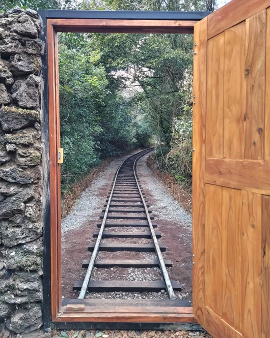 SE-d8c9129c-0213-444a-9cfe-d3e1bb54a484.jpg?type=w1