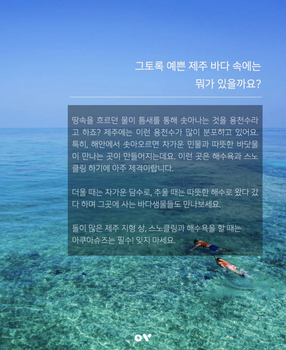 210806_%EC%A0%9C%EC%A3%BC%EC%8A%A4%EB%85%B8%EC%BF%A8%EB%A7%81.002.jpeg?type=w1